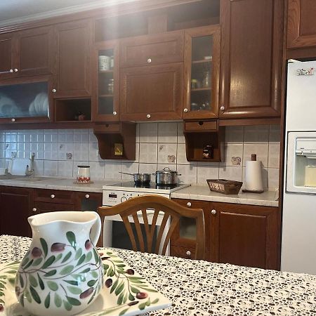 Vintage Central House Каламбака Екстер'єр фото